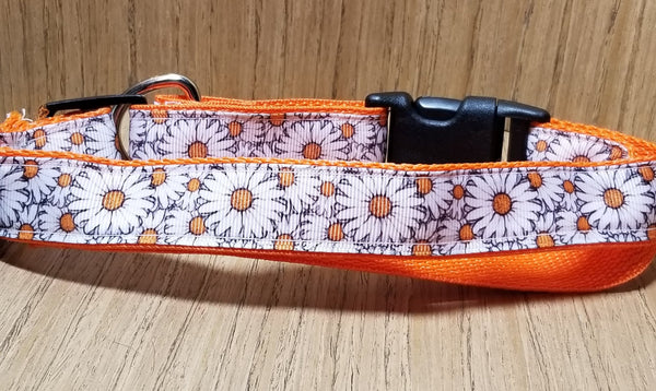 Leash/ Large/  White and Orange Daisies